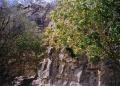 Kangaroo Point Cliffs - MyDriveHoliday